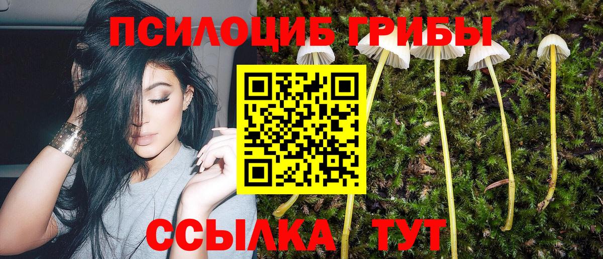 Псилоцибиновые грибы мицелий  Галлюциногенные грибы Magic Shrooms  Вход с VPN  Губкинский 